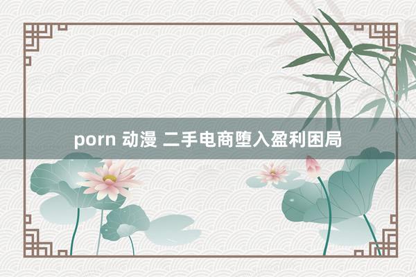 porn 动漫 二手电商堕入盈利困局