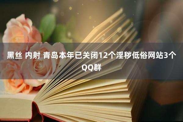 黑丝 内射 青岛本年已关闭12个淫秽低俗网站3个QQ群