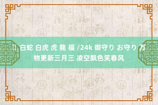 ✨白蛇 白虎 虎 龍 福 /24k 御守り お守り 万物更新三月三 凌空飘色笑春风