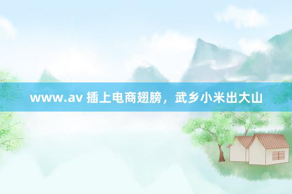 www.av 插上电商翅膀，武乡小米出大山