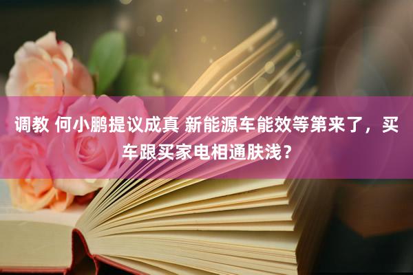 调教 何小鹏提议成真 新能源车能效等第来了，买车跟买家电相通肤浅？