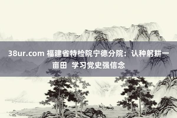 38ur.com 福建省特检院宁德分院：认种躬耕一亩田  学习党史强信念