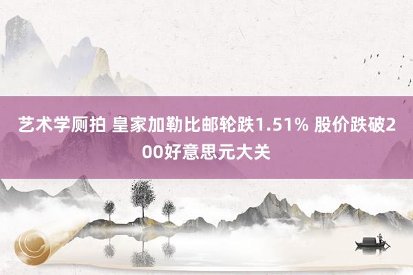 艺术学厕拍 皇家加勒比邮轮跌1.51% 股价跌破200好意思元大关